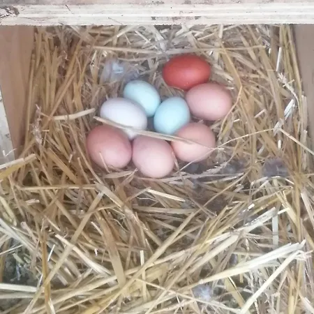 Ruegen - Promoisel - Auszeit Am Kreidesee Appartamento Sagard