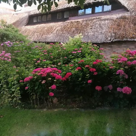 Apartment Ruegen - Promoisel - Auszeit Am Kreidesee *