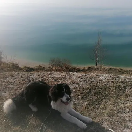 아파트 Ruegen - Promoisel - Auszeit Am Kreidesee